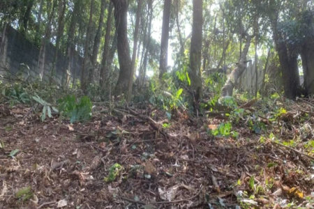 Terreno à venda em Jardim Peri Peri, São Paulo, SP