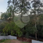 Sobrado à venda com 5 suítes em Serra da Cantareira, Mairiporã, SP