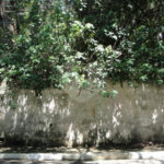 Terreno à venda em Barro Branco (zona Norte), São Paulo, SP