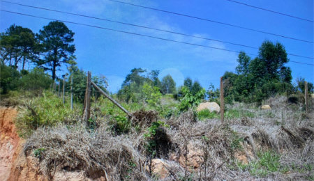 Terreno à venda em Pouso Alegre, Mairinque, SP