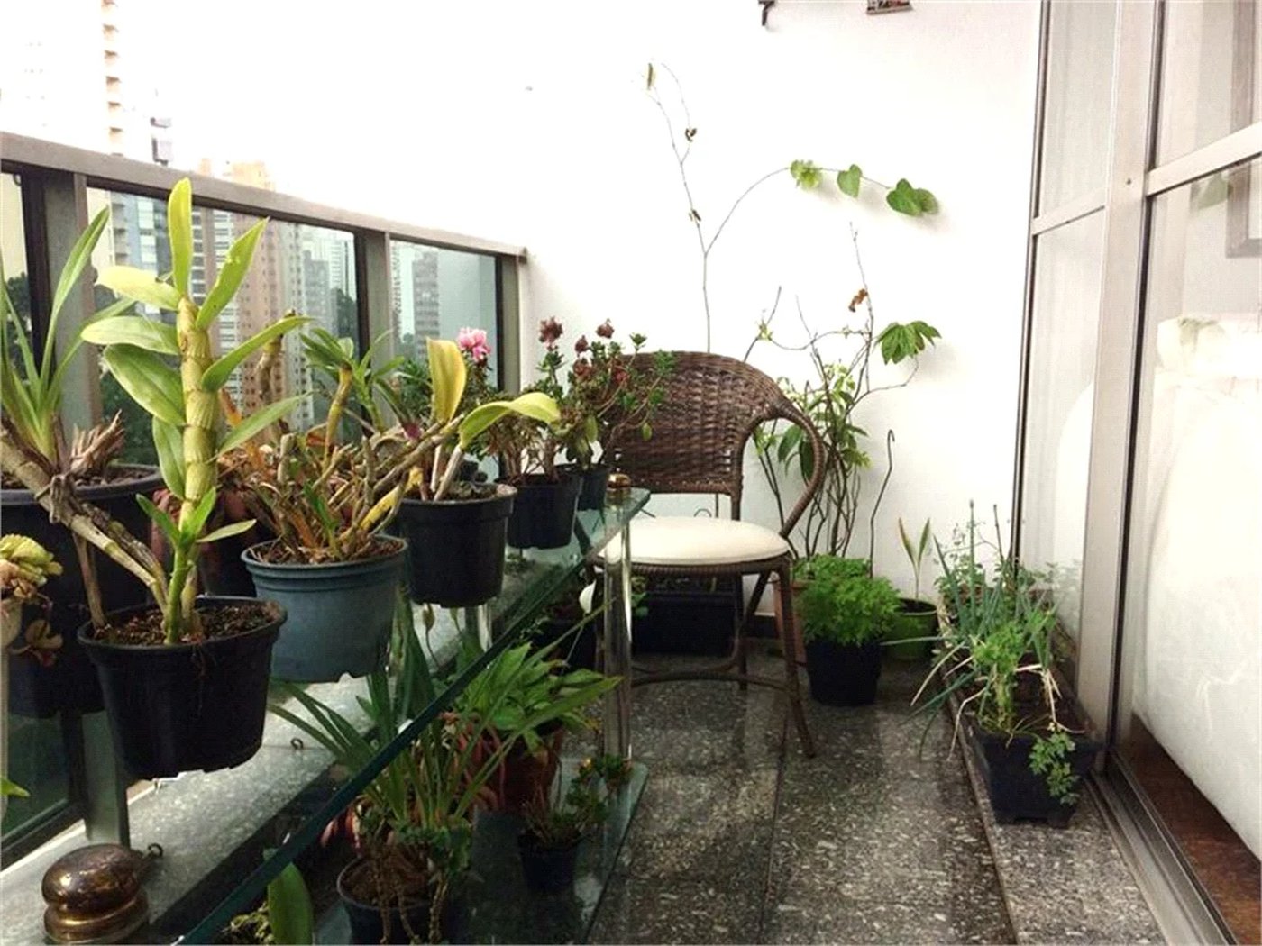 Apartamento à venda com 3 quartos, sendo 1 suíte,  em Vila Andrade, São Paulo, SP