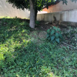 Terreno à venda em Horto, São Paulo, SP