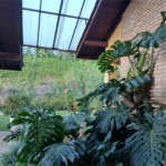Casa Térrea à venda com 5 suítes em Bairro do Cambará, São Roque, SP