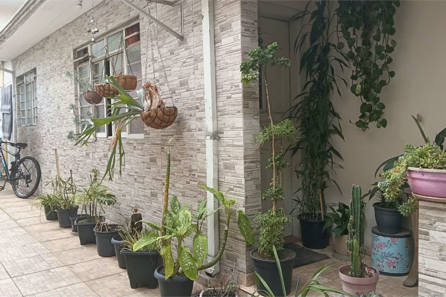 EXCELENTE PARA INVESTIMENTO E RENDA OU MORADIA!! JABAQUARA 03 CASAS E SALÃO