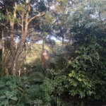 Chácara à venda com 7 quartos, sendo 3 suítes, em Saboó, São Roque, SP