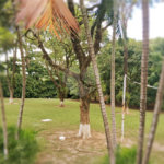 Chácara à venda com 8 quartos, sendo 5 suítes, em Chácara Belvedere, Indaiatuba, SP