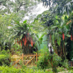 Casa à venda com 4 suítes no condomínio Espaço Natureza, São Paulo - SP