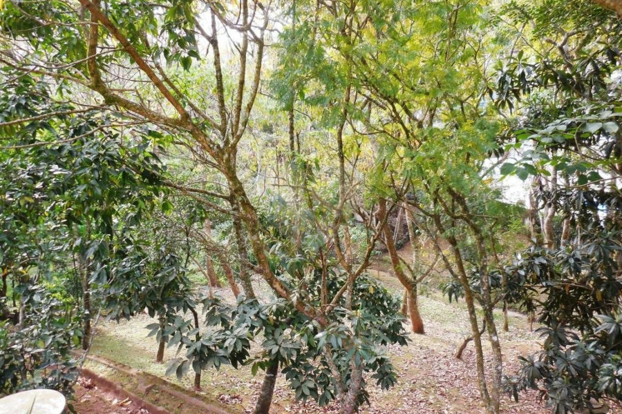 Casa à venda com 3 suítes no condomínio Itatinga I, São Paulo - SP