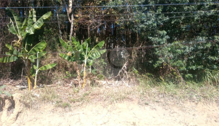 Terreno à venda em Serra da Cantareira, Mairiporã, SP