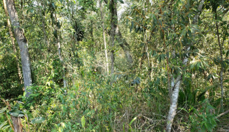 Terreno à venda no condomínio Residencial Cerros Verdes, Mairiporã - SP