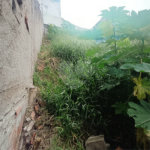 Terreno à venda em Tremembé, São Paulo, SP