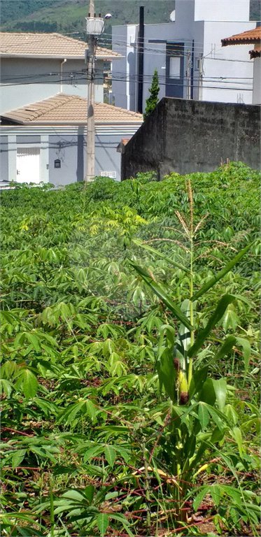 Terreno à venda em Jardim do Lago, Atibaia, SP