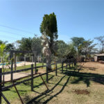 Sítio à venda com 2 suítes em Buru, Salto, SP