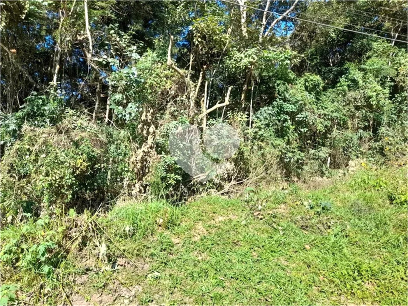 Terreno à venda em Roseira, Mairiporã, SP