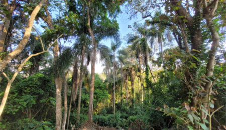 Terreno à venda no condomínio Sausalito, Mairiporã - SP