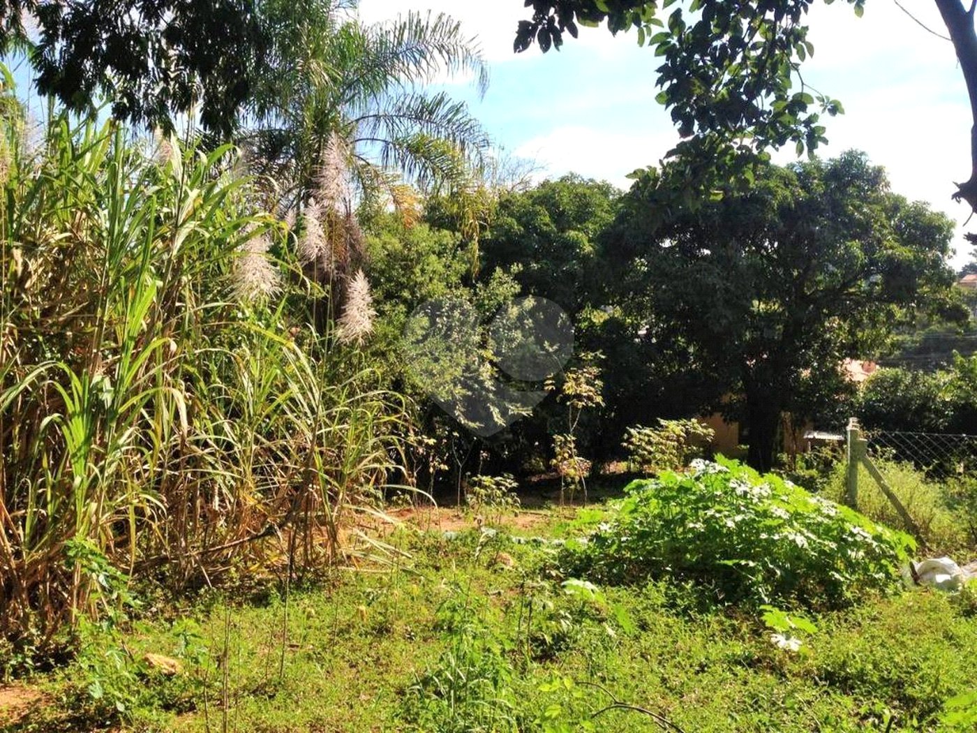 Casa à venda com 4 quartos em Capela, Vinhedo, SP
