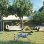 Capital Residencial