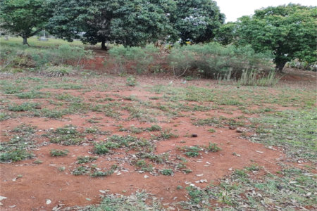 Terreno à venda em Chácara Fernão Dias, Bragança Paulista, SP