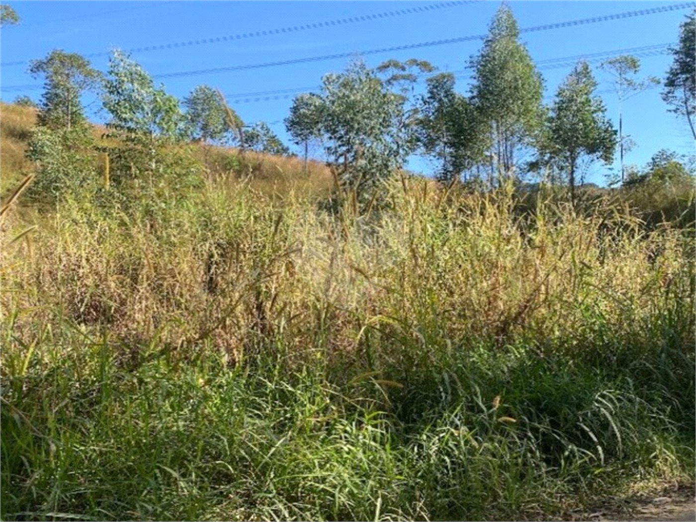 Terreno à venda em Caete (mailasqui), São Roque, SP