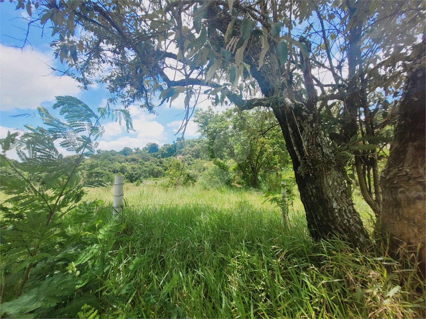 Lote à Venda – Oportunidade! 1.000 m² – Recanto Campestre Internacional de Viracopos (Gleba 4) – Indaiatuba/SP