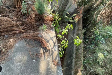 Casa à venda com 3 quartos, sendo 1 suíte, em Jardim Panorama, São Paulo, SP