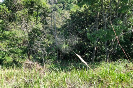 Terreno à venda em Bairro do Cambará, São Roque, SP