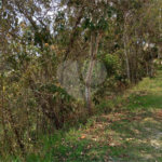 Terreno à venda em Barreiro, Mairiporã, SP