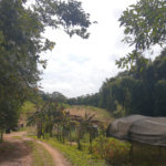 Sítio à venda com 5 quartos, sendo 1 suíte,  em Área Rural de Tapiraí, Tapiraí, SP