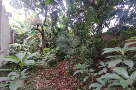 Terreno à venda em Vila Carmosina, São Paulo, SP