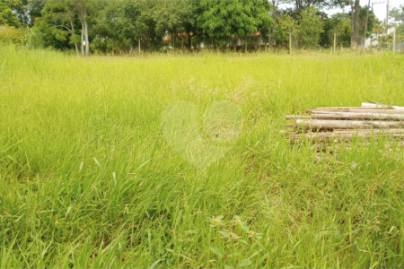 Terreno à venda em Pinheirinho, Vinhedo, SP