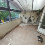 Sobrado à venda com 3 quartos, sendo 1 suíte, em Jardim Helga, São Paulo, SP