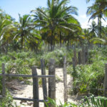 Área de Terra à venda em Mogiquiçaba, Belmonte, BA