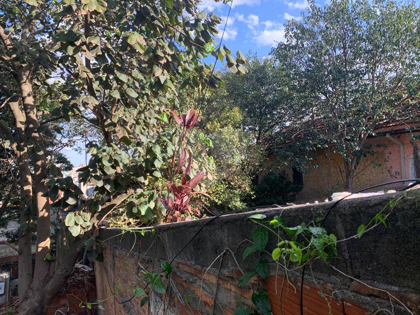 Terreno à venda com 2 quartos em Tucuruvi, São Paulo, SP