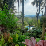 Casa Térrea à venda com 4 quartos, sendo 2 suítes, em Serra da Cantareira, Mairiporã, SP
