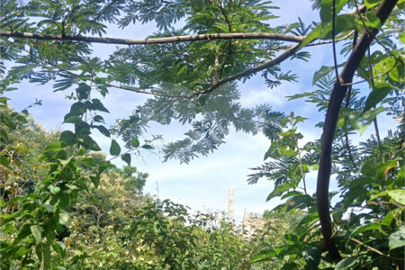 Terreno à venda em Jardim Patriarca, Ribeirão Preto, SP