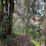 Terreno à venda em Paraisópolis, São Paulo, SP