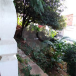 Casa à venda com 5 quartos, sendo 3 suítes, em Perdizes, São Paulo, SP