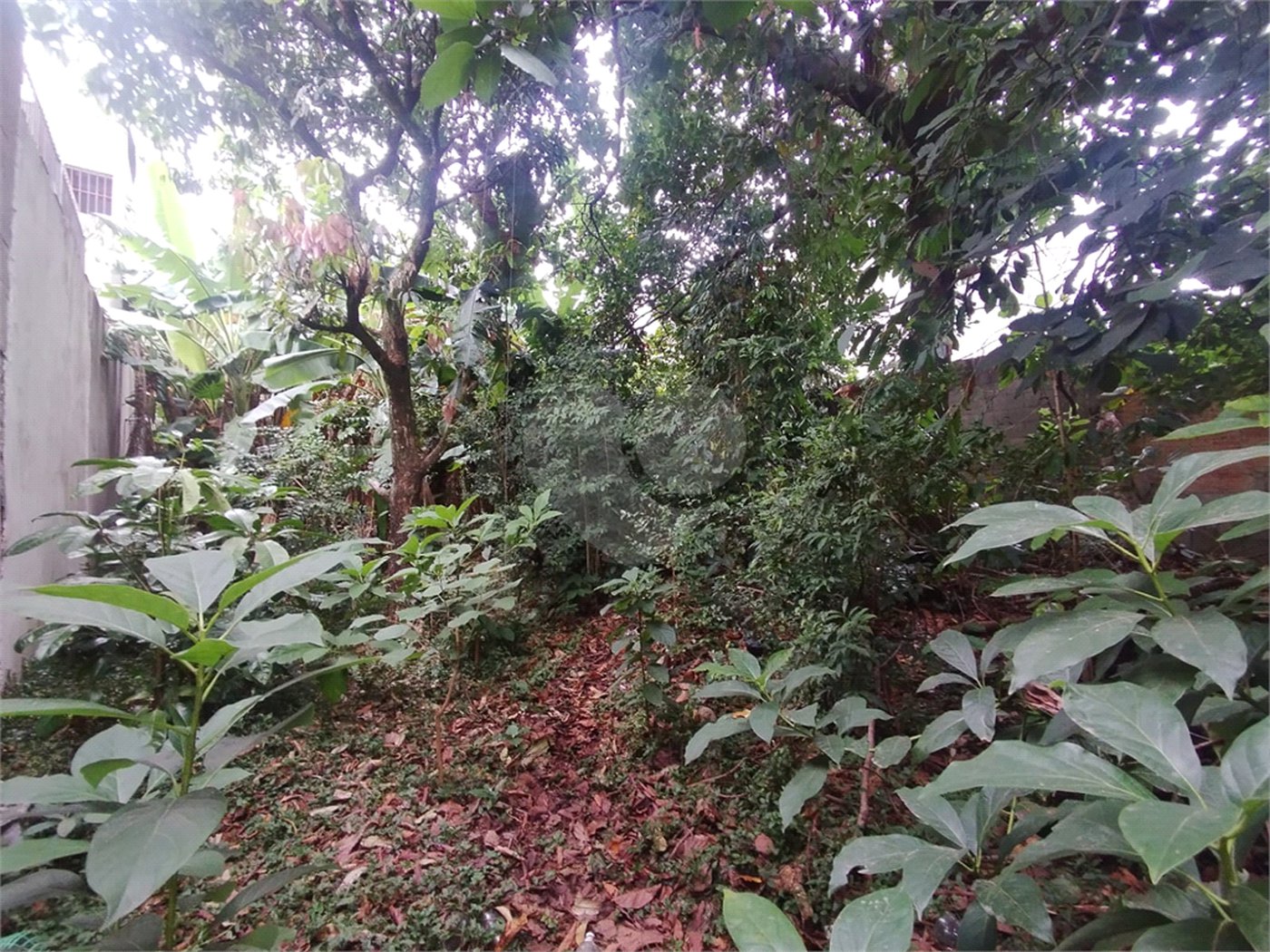 Terreno à venda em Vila Carmosina, São Paulo, SP