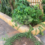 Casa térrea na Vila Boa Vista