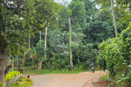Terreno à venda em Pavão (canguera), São Roque, SP