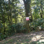 Terreno à venda em Serra da Cantareira, Mairiporã, SP