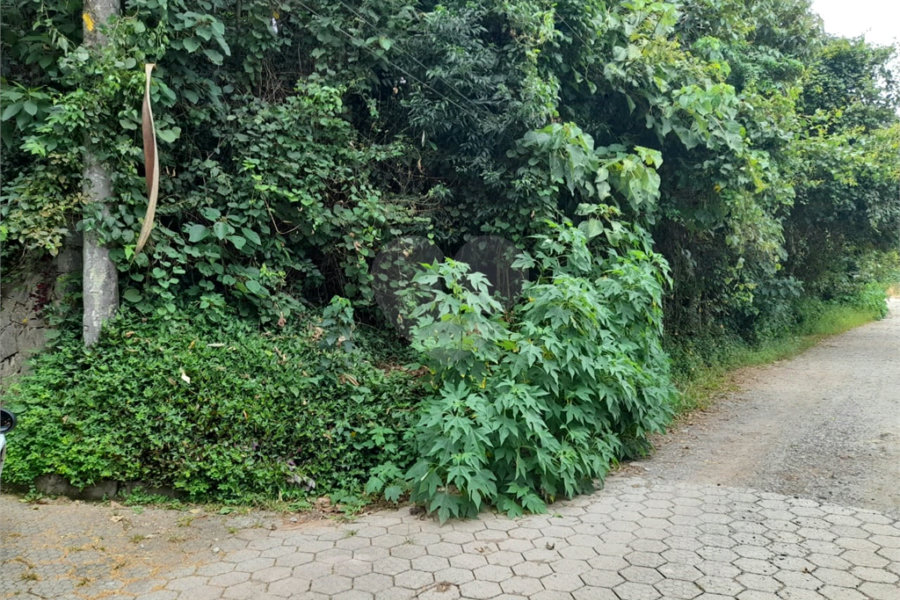Terreno à venda em Serra da Cantareira, Mairiporã, SP