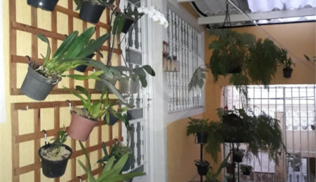Sobrado à venda com 5 quartos, sendo 2 suítes,  em Limão, São Paulo, SP