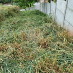 Terreno à venda em Parque Residencial Itapeti, Mogi das Cruzes, SP