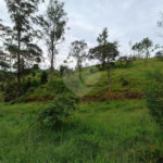 Terreno à venda em Jardim Monte Santo, Itapetininga, SP