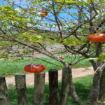 Casa à venda com 4 quartos, sendo 2 suítes,  no condomínio Riviera de Santa Cristina XIII, Paranapanema - SP