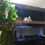 Apartamento à venda com 3 quartos, sendo 1 suíte,  em Mooca, São Paulo, SP