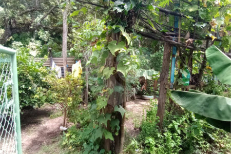 Sítio à venda com 2 quartos em Vila Sottemo, Itapetininga, SP