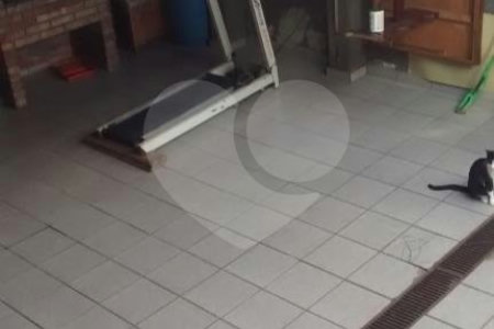 Casa à venda com 4 quartos, sendo 1 suíte, em Parque Vitória, São Paulo, SP