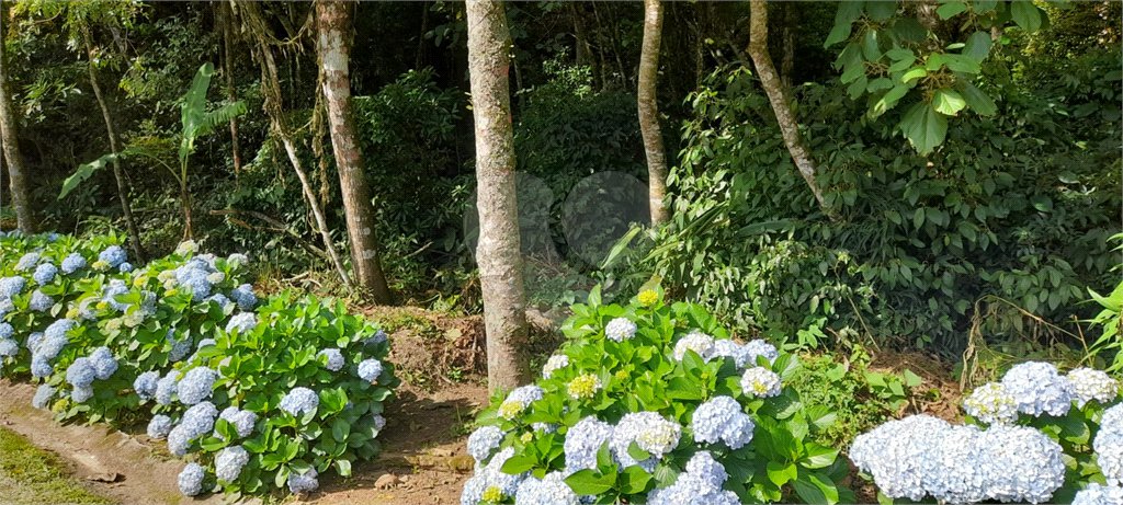 Terreno à venda em Roseira, Mairiporã, SP